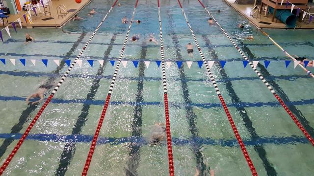fidalgo circle swim.jpg