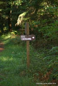 Go left onto CCC Crossing.