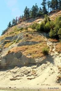 Double Bluff