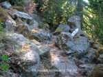 DSCF1146-001