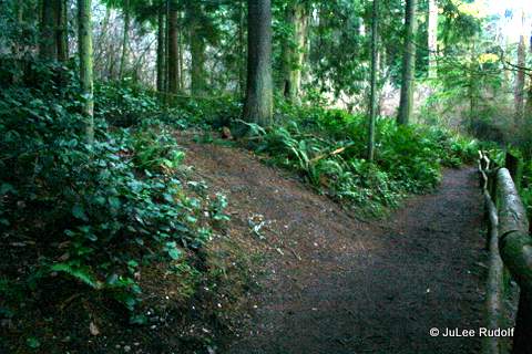 Discovery Trail (off to the left)