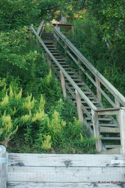 stairs to beach at South Whidbey State Park