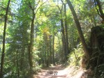 trail 22 8-1-2009 3-21-43 AM