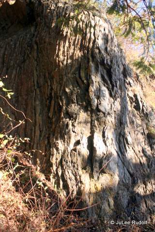 Along the Perimeter Trail at Goose Rock