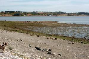 Mueller Park Beach