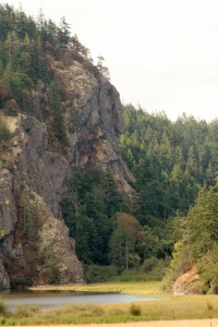 IMG_9772