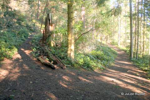 Junction of Summit Trail and Perimeter Trail south of Goose Rock