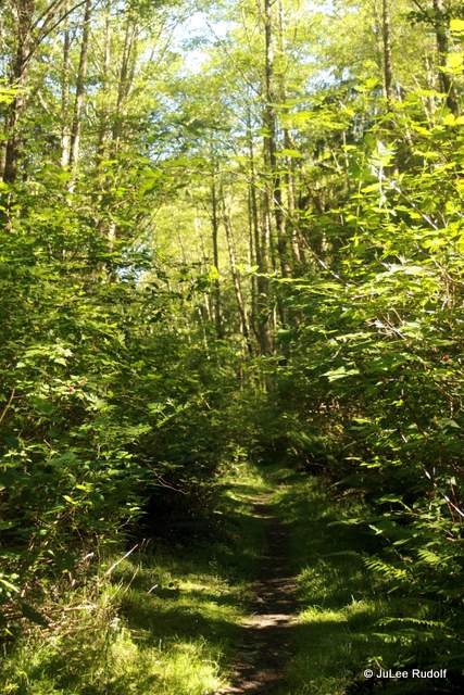South Whidbey State Park