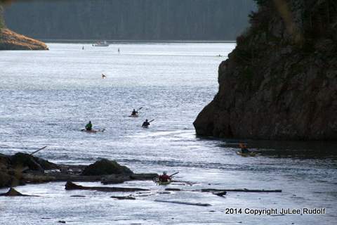 IMG_5978-001