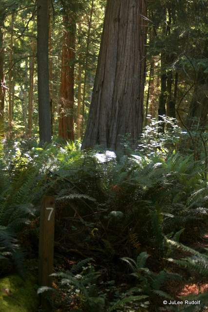 South Whidbey State Park