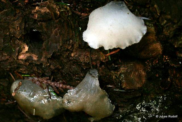 IMG_8462