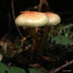 IMG_5610-001
