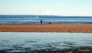 Mount Rainier from Double Bluff County Park