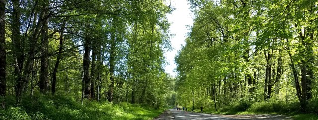 course