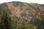 Leavenworth Half