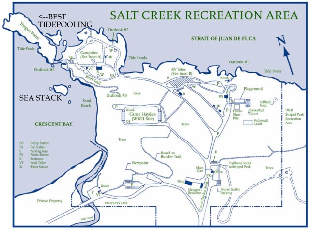SALT CREEK