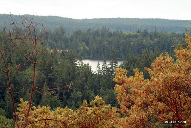 View from Tursi Trail