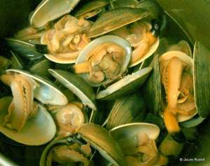 steamed Manila clams from Mueller Beach