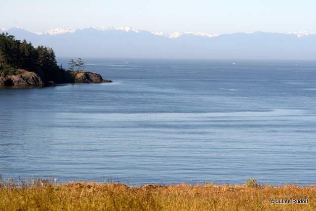 Deception Island from Rosario Head