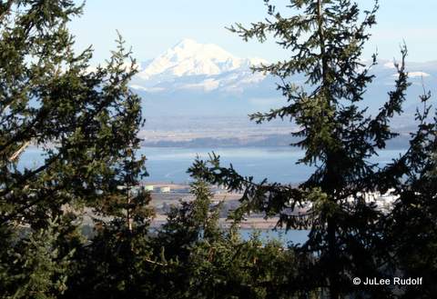Mount Baker viewed from Mount Erie