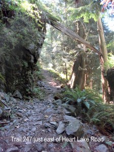 trail 247 east of heart lake rd 8-1-2009 1-07-37 AM