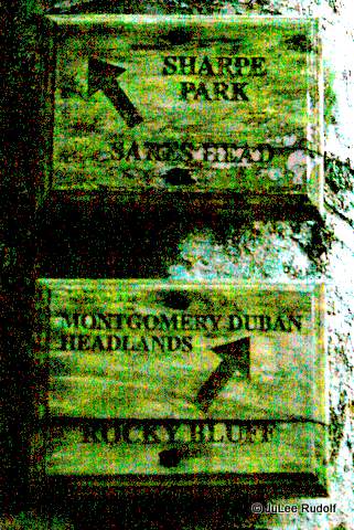 Trail marker at Sharpe Park / Montgomery Duban Headlands