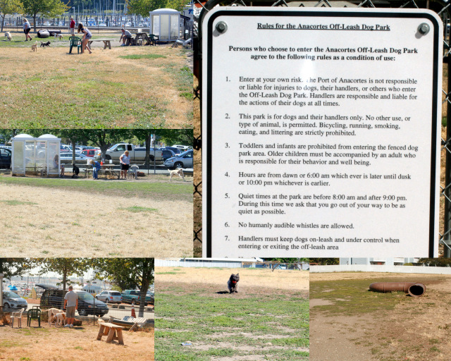 Anacortes Off Leash Dog Park