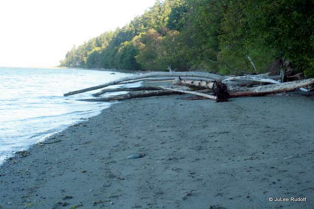 South Whidbey State Park beach