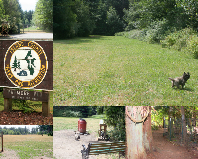 Patmore Pit Dog Park