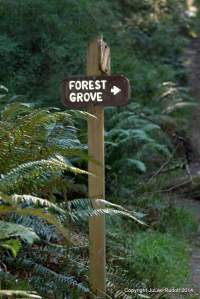 Ignore this sign. Continue straight (on Fireside Trail).
