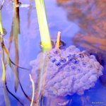 IMG_8230