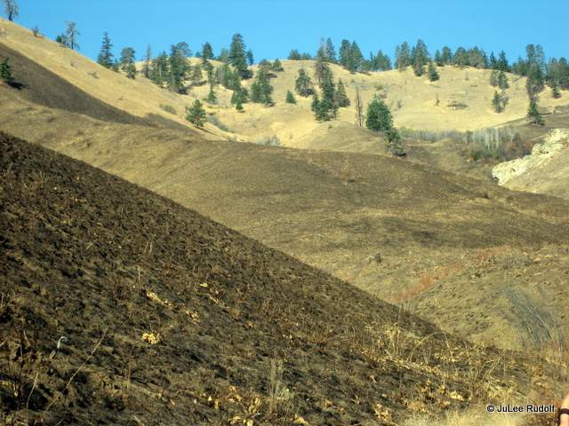 Sage Hills