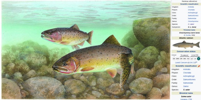 cutthroat classifications 9-5-2017 6-54-41 PM.jpg