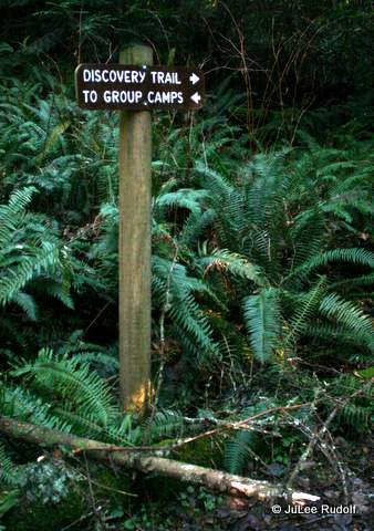 Sign along Discovery Trail