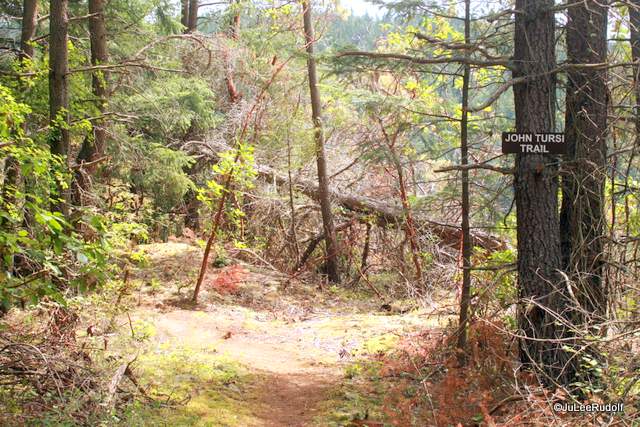 Tursi Trail south end