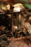 IMG_5488-001