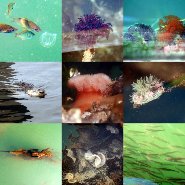Deception Pass State Park1.jpg