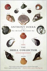 shell