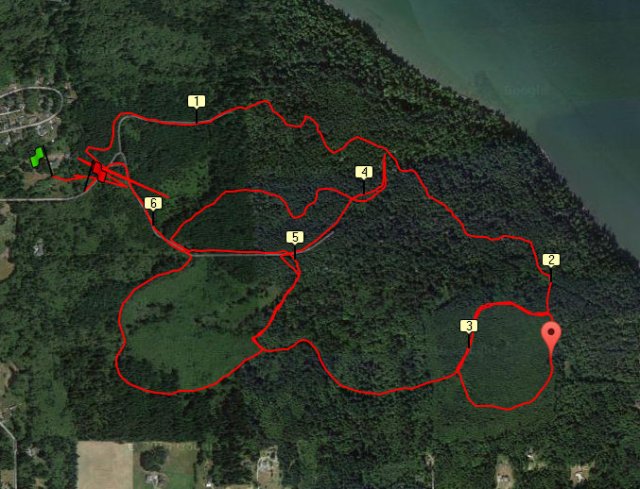 Dugualla State Park trail run