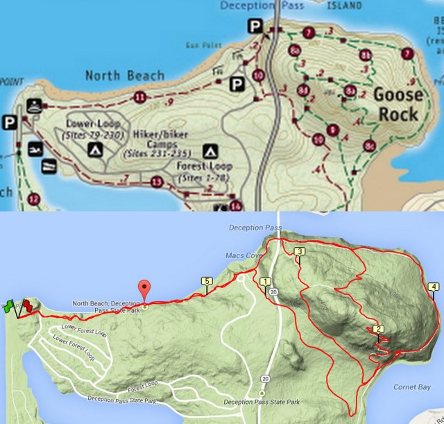 Trail Running at Deception Pass State Park Goose Rock and North Beach trails