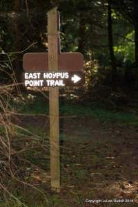 Ignore this sign and continue on main trail (which curves left).