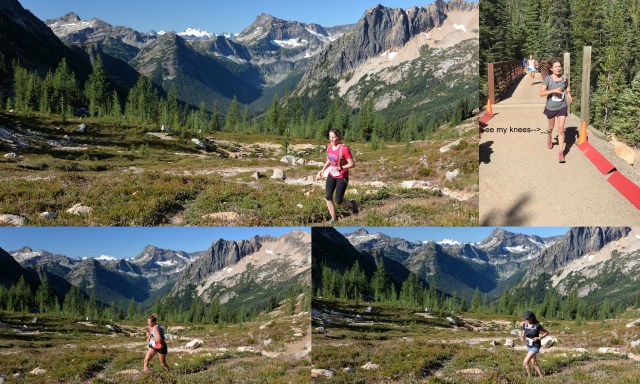 Four Runners Collage 9-5-2017 4-53-32 PM