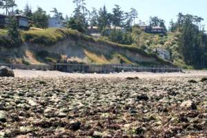 Libbey Beach