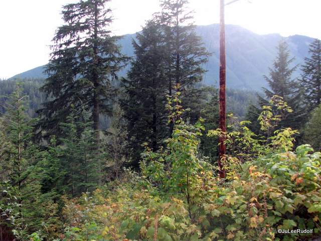 DSCF1175