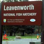 Fish Hatchery