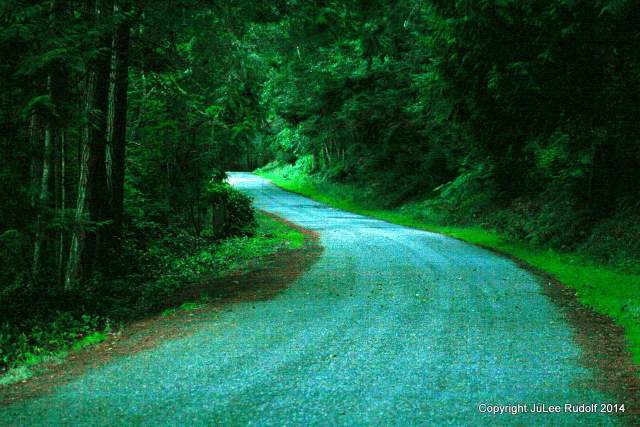 Road towards trail head