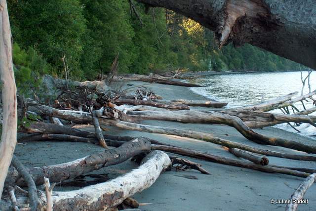 South Whidbey State Park beach