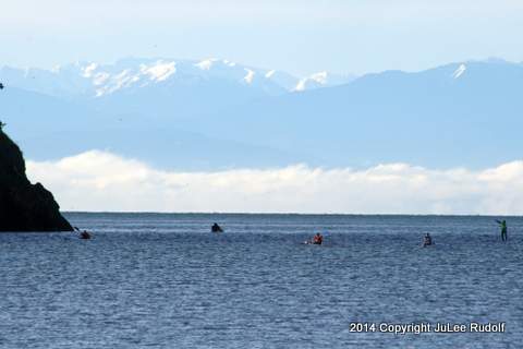 IMG_5994-001