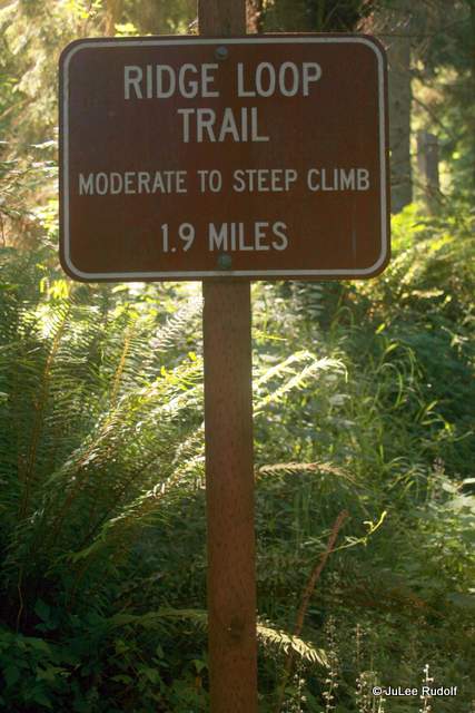South Whidbey State Park