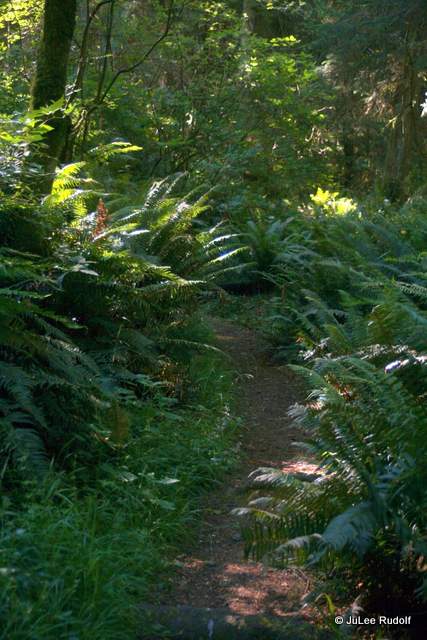South Whidbey State Park